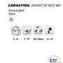 (D) Carnation Enfant De Nice Mix Seeds 0.15g (415052) Image 2