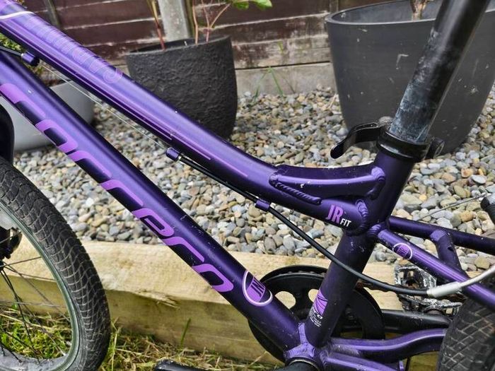 Kids bike Carrera Saruna 20 inches.