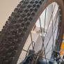 bike Image 10