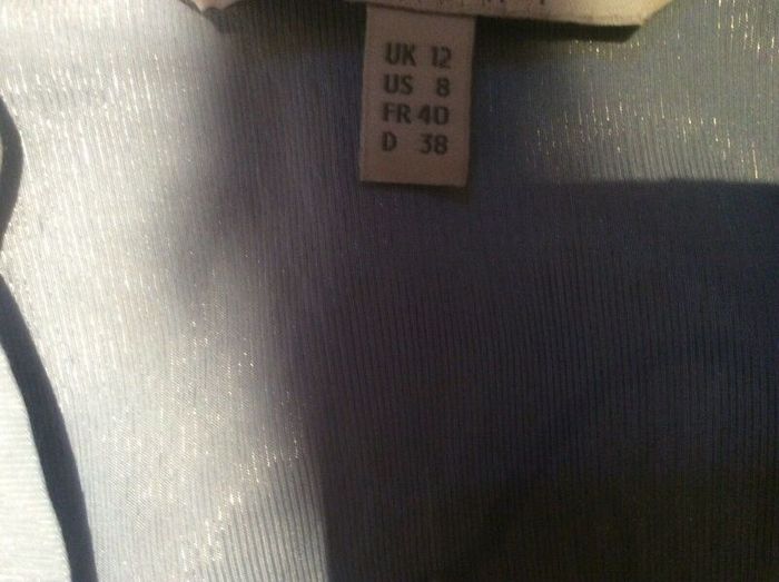 COAST Torrington Shirt Dress