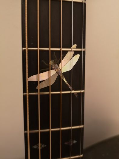 Fylde Alexander Custom