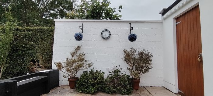 Plants