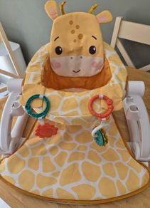 Fisher-price portable baby chair