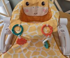 Fisher-price portable baby chair