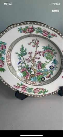 Reduced Antique Coalport China Indian Tree 9.5  inch plate or dish with Scalloped Rim
