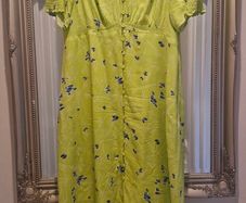 Stunning French connection lime green and cobalt blue dress