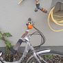 ladies bike Image 4