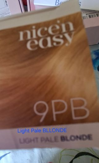 Clairol Nice n Easy Light Blonde