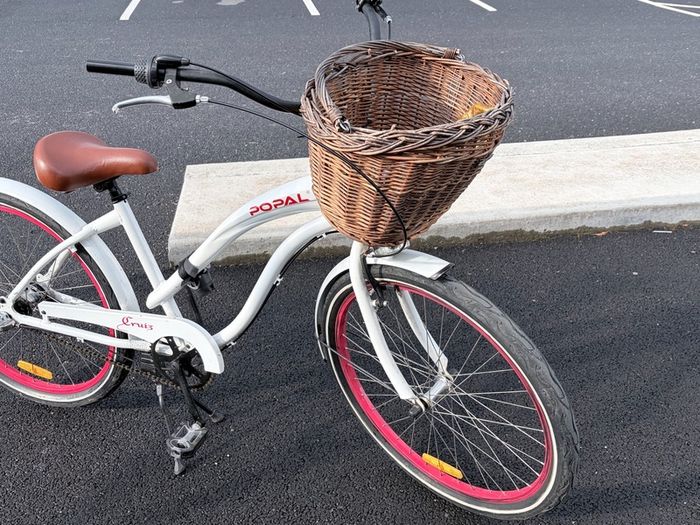 Popal dutch female city Bike