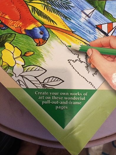 adult colouring book