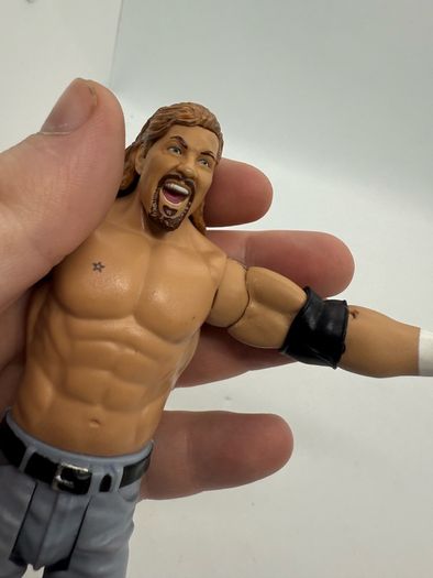 wwe DDP Diamond Dallas Page action figure