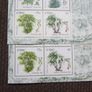 Irish Native Trees 2006,Two Minature Sheets.Inc Washington 2006 stamp Exhibition Overprint.MNH. Image 3