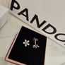 Pandora Image 4