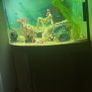 Juwel 190L fish tank & unit Image 2