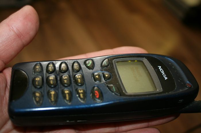 Nokia 6150 (in working order)