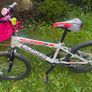 bike for girl Image 2