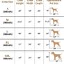 Dog Crate Dog Cage from Small to Large, Foldable Puppy Dog Crates , Cage Furniture with Non-Chew Metal Removable Tray Silver Folding 2 Door Crate, Medium Size 30-inch(76.2cm) Black (FREE POSTAGE) Image 6