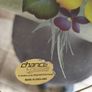 Vintage from the 1960s Chance Glass mid century pretty transfer printed oblong Glass Image 2