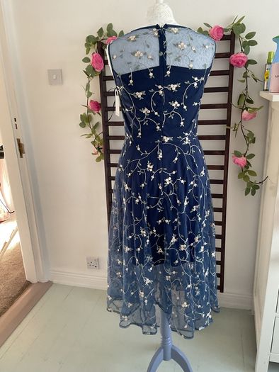 dress Bnwt Paisie occasion wear dress size 10