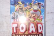 Toad