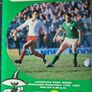 Collection of Ireland Soccer Programmes Image 7