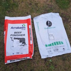 Free large strong plastic bags