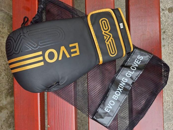 Boxing Gloves and Pads Set