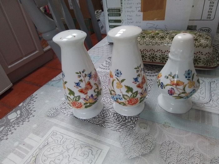 Aynsley Cottage Garden salt& Pepper Set