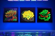 UV Printed Coral Reef Wall Art Painting