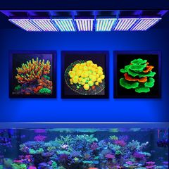 UV Printed Coral Reef Wall Art Painting