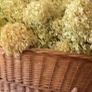 ShabbyChic Basket with Handles Image 3
