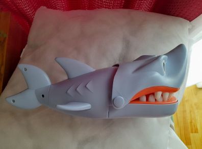 Shark