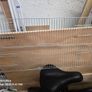 bird cage fronts Image 5