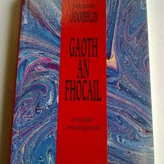 Gaoth an fhocail Focloir analogach Ireland Irish language Gaeilge