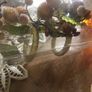 napkin rings Image 3