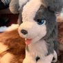 Hasbro FurReal pup Interactive  Ricky Image 6