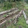 Greenheart wood hardwood beam/timber Image 4