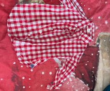 boys gap shirt age 4
