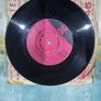 The Ludlows The Sea Around Us The Butcher Boy 7 inch Image 2