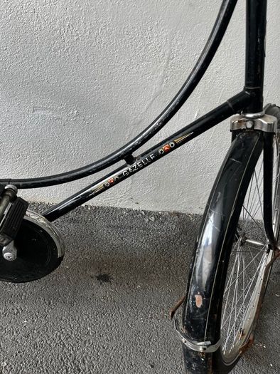 Dutch Gazelle bike