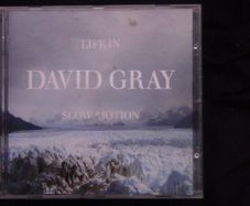 David Gray - Life In Slow Motion CD