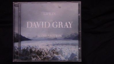 David Gray - Life In Slow Motion CD