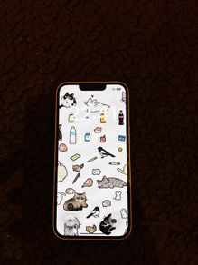 iPhone 13 128gb pink