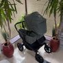 Bugaboo Donkey 5 in black or Forrest green Image 2
