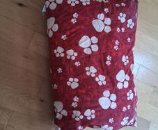 Dog bed