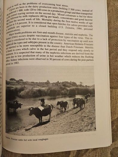 The International Friesian Strain Comparison Trial. A World Perspective.  By H.a. Jasiorowski. M. Stolzman. Z. Reklewski. First Edition Paperback In Good Condition.