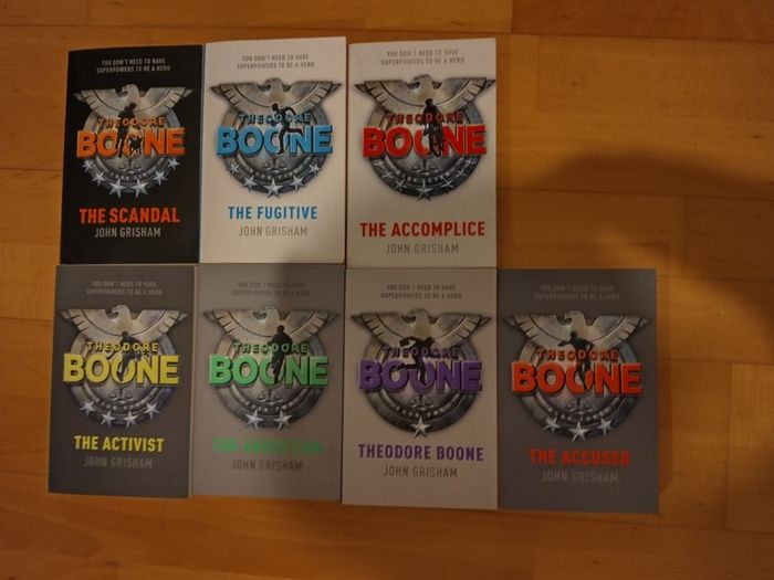 Theodore Boone Collection