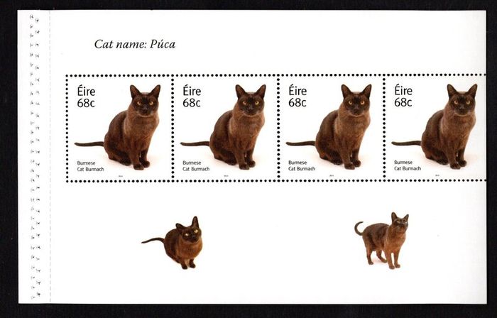 2014 Ireland Cats Commemorative Stamp Booklet Mint Never Hinged (MNH). Hibernian HB202. Photos of contents shown.