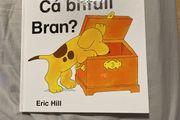 Irish language children's book