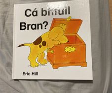 Irish language children's book